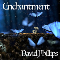 david phillips - Enchantment