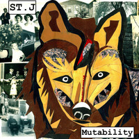 St. J - Mutability (Explicit)