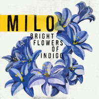 Milo - Bright Flowers Of Indigo