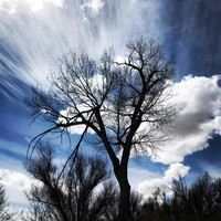 Corey Allison Music - Return to Earth