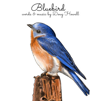 Doug Howell - Bluebird
