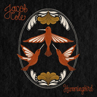 Jacob Cole - Hummingbird