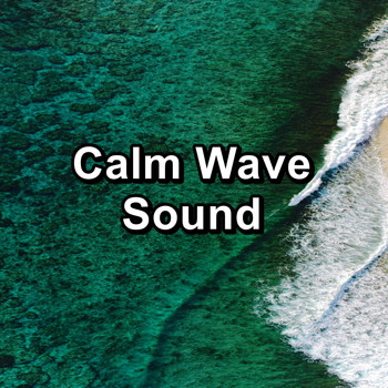 Sea Sounds - Calm Wave Sound