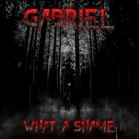 Gabriel - What a Shame