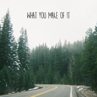 Nick Fichter - What You Make of It