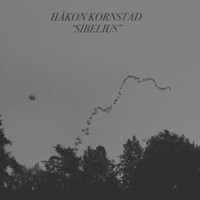 Håkon Kornstad - Sibelius