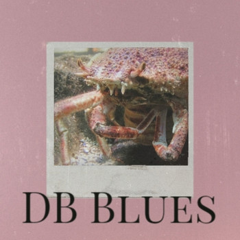 Various Artist - DB Blues