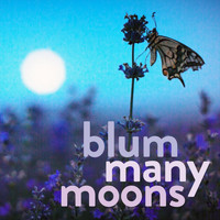 Blum - Many Moons