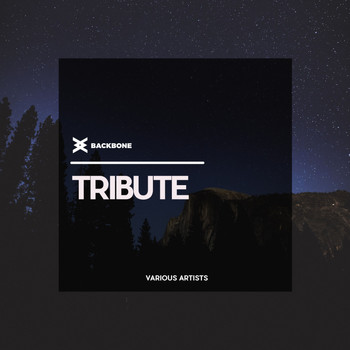 Various Artists - Tribute