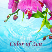 Rain Makers - Color of Zen