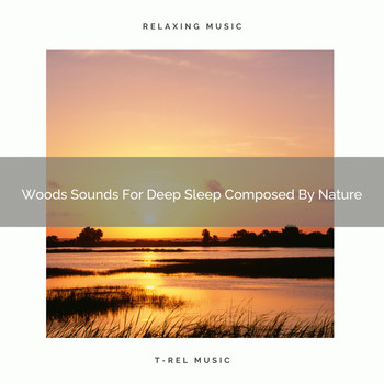 Nature Music Nature Songs - Woods Sounds For Deep Sleep Composed By Nature