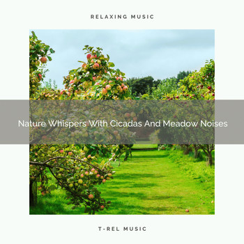 Nature Sounds And Whispers - Nature Whispers With Cicadas And Meadow Noises