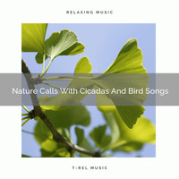 Nature Sounds And Whispers - Nature Calls With Cicadas And Bird Songs