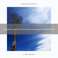 Nature Sounds And Whispers - Meadow Songs For Deep Sleep Composed By Mother Earth