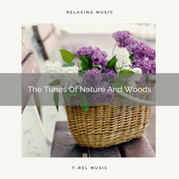 Nature Sounds And Whispers - The Tunes Of Nature And Woods