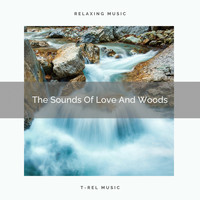 Nature Sounds And Whispers - The Sounds Of Love And Woods