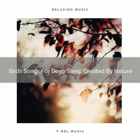 Nature Sounds And Whispers - Birds Songs For Deep Sleep Created By Nature