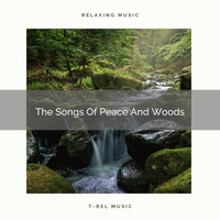 Nature Sounds And Whispers - The Songs Of Peace And Woods