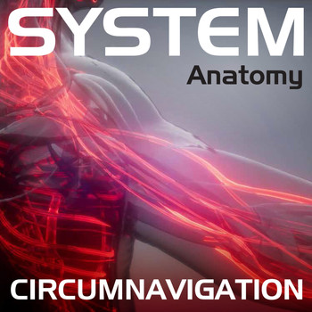 John Thomas Oaks - System anatomy: Circumnavigation