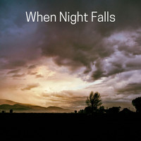 Masala Roo - When Night Falls