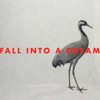 Georg Levin - Fall into a Dream