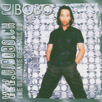 DJ Bobo - The Ultimate Megamix 99