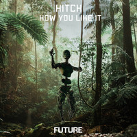 Hitch - How You Like It