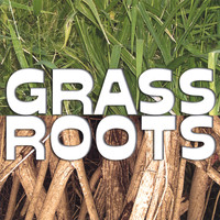 Badda Skat - Grass Roots
