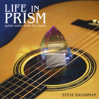 Steve Baughman - Life in Prism: Guitar Notes From the Inside