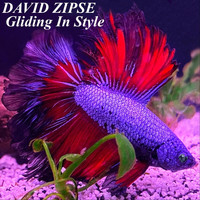 David Zipse - Gliding in Style