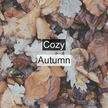 Rain Sounds - Cozy Autumn