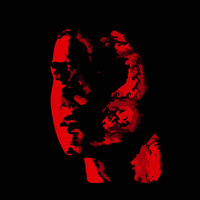 The Caracal Project - Modern Intimate