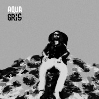 Aqua - Gris