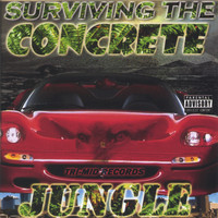 Anjel - Surviving The Concrete Jungle