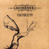 Audience - Trying wings on roots