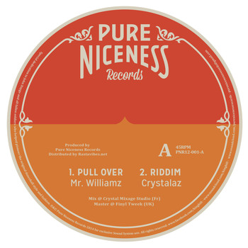 Mr Williamz - Pull Over