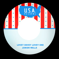 Junior Wells - Lovey Dovey Lovey One