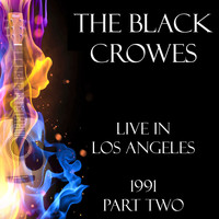 The Black Crowes - Live in Los Angeles 1991 Part Two (Live)