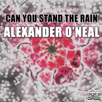 Alexander O'Neal - Can You Stand the Rain