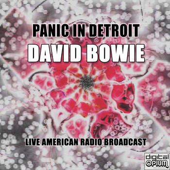 David Bowie - Panic In Detroit (Live)