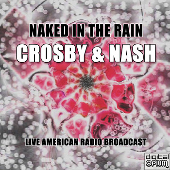 Crosby & Nash - Naked In The Rain (Live)