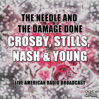 Crosby, Stills, Nash & Young - The Needle And The Damage Done (Live)