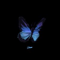 Nevo Angel - Bloom (feat. Ymmy)
