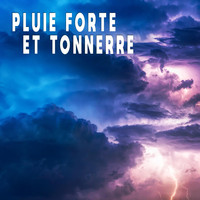 Sons de la Nature Projet France de TraxLab - Pluie forte et tonnerre