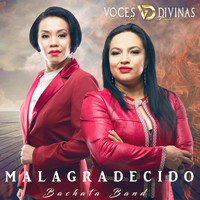 Voces Divinas de Mexico - Malagradecido (Bachata Band)