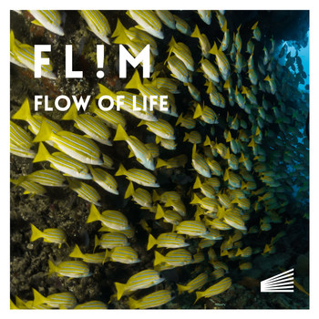 Flim - Flow Of Life