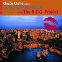 The Reg Project - The R.E.G Project