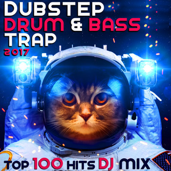Dubstep Spook - Dubstep Drum & Bass Trap 2017 Top 100 Hits DJ Mix