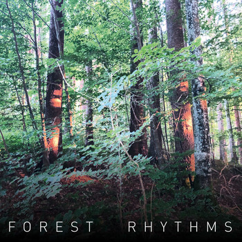 Various Artists - Forest Rhythms