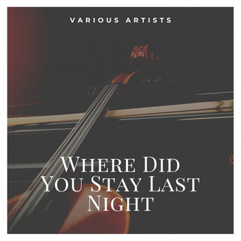 Various Artists - Where Did You Stay Last Night